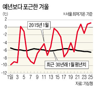 엘니뇨 탓에 사라진 한파…벌써 겨울 끝?