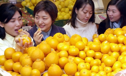 사진=겨울 제철과일 보관법, 귤은 씻어서·사과는 따로