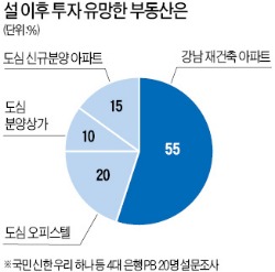 [설 이후 재테크 지도] 상가·오피스텔 등 수익형 부동산 '주목'