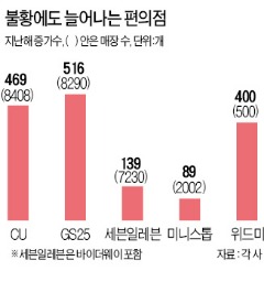 불황 속 편의점 1600개 늘었다