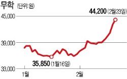 "캬~ 서울 입맛 잡았데이" 술술 오르는 지방소주주