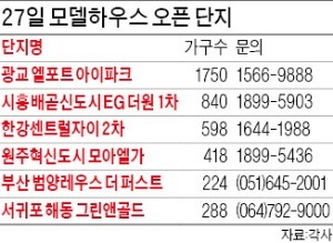 모델하우스 문 열기 1시간 전부터 장사진