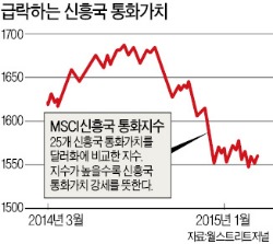 급락하는 신흥국 통화가치