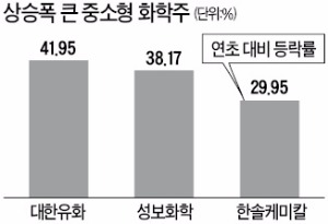 중소형 화학주 너무 잘나가