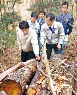 일본 고베시 삼림안전실 직원들이 지난 5일 소나무재선충 피해지인 후타다비산에서 천적을 이용한 방제작업을 하고 있다. 산림청 제공