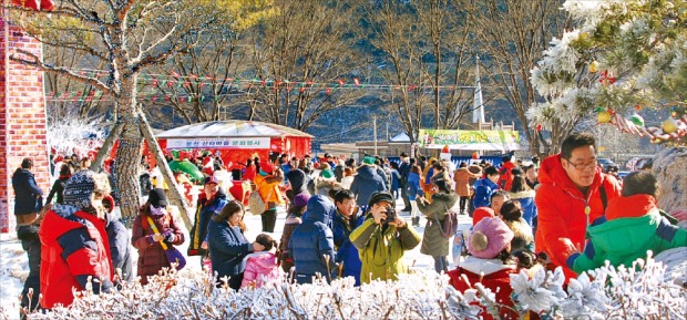 지난해 크리스마스를 전후해 두 달간 산타마을로 꾸며진 경북 봉화 분천마을에는 10만명이 넘는 관광객이 몰렸다. 지난해 12월 분천마을을 찾은 관광객들이 분천역 앞에서 즐거운 한때를 보내고 있다. 한경DB