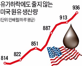  "셰일오일 차고 넘친다"…미 원유 재고량 80년 만에 최대