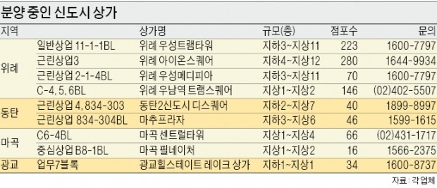 [금리 1%대 시대…유망 수익형 부동산] 상가 물량 적어 인기있는 위례…분양가 3.3㎡당 2500만~5000만원대