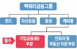 [마켓인사이트] 금융 수장이 'IB 롤모델'로 제시했는데…맥쿼리 IB사업부 대폭 축소