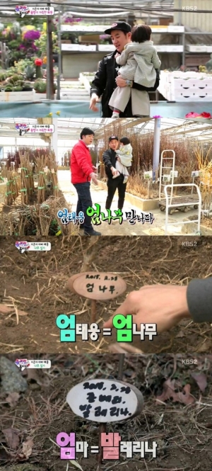 &#39;슈퍼맨이돌아왔다&#39; 엄태웅, 엄나무,블루베리 나무 구입 &#34;가족 나무&#34;