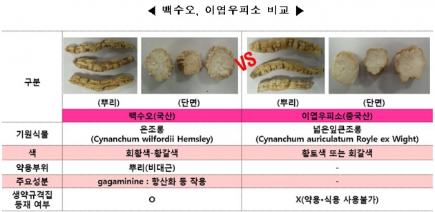 내츄럴엔도텍 백수오 / 사진=한국소비자원 제공