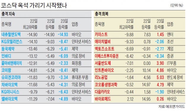 코스피 2170 돌파, 코스닥 700 붕괴…증시, 대형주로 중심이동?