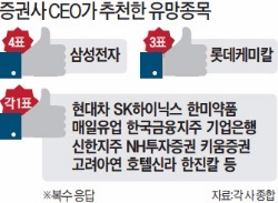 증권사 CEO들이 찍었다 "삼성전자·롯데케미칼 유망"