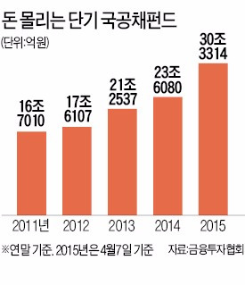 큰손, 수억씩 베팅…30조 끌어모은 단기 채권펀드