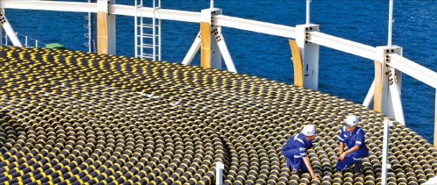 LS전선 동해사업장 직원들이 카타르 석유공사에 납품할 해저 케이블을 살펴보고 있다.   