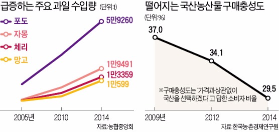 수입 농산물 공습…농협 '신 신토불이' 나선다