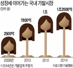 가발, 머리에 입는 '패션'