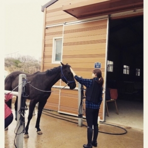 박신혜, &#34;승마 연습 시작했어요&#34; 근황 공개