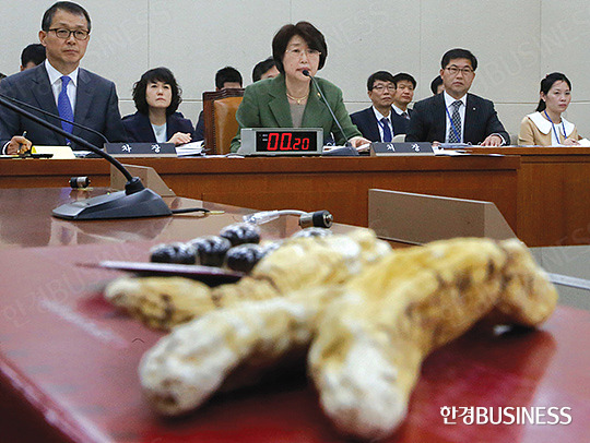 김승희 식품의약품안전처장이 5월 6일 국회에서 열린 보건복지위원회 전체 회의에서 의원들의 백수오 관련 질의에 답변하고 있다.