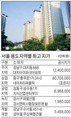 서울 주거지 공시지가 1위…대치동 아이파크 3.3㎡당 4092만원