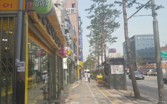 이름뿐인 충무로 애견거리 쇠락의 길로 … 대형숍에선 프렌치 불독 비숑 프리제 인기 상한가 | 한국경제