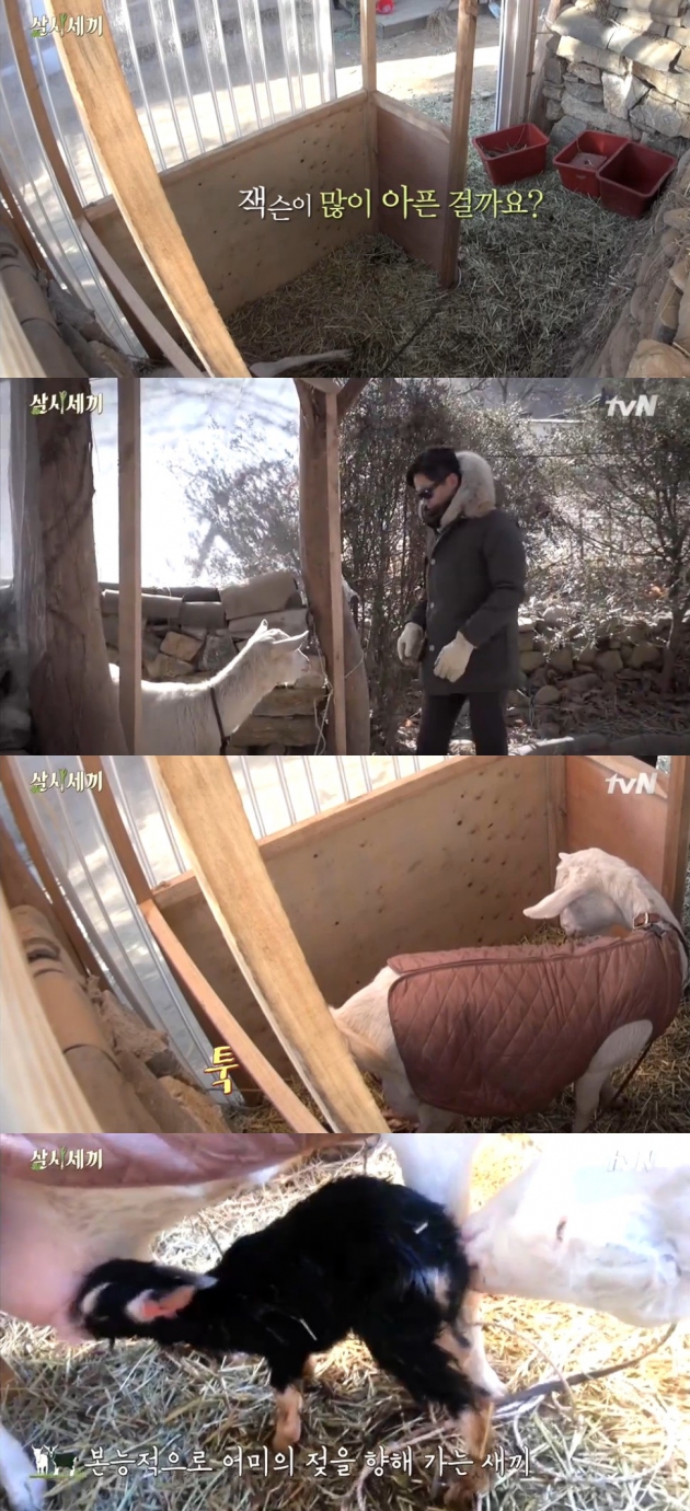 삼시세끼 정선편 / 사진=tvn 방송 캡처