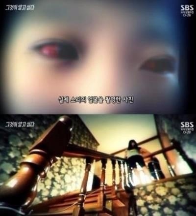 항소심서 징역 15년 / 항소심서 징역 15년 사진=SBS 방송 캡처