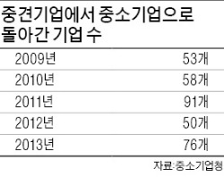 "매출기준 규제가 성장 막는다"