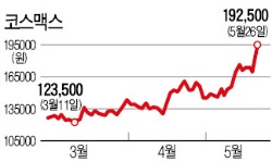 코스맥스 상한가…식을 줄 모르는 중견화장품주