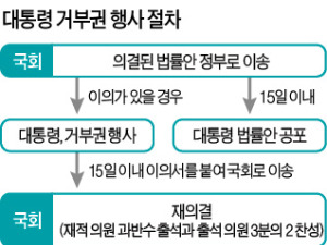 청와대 '개정 국회법' 거부권 행사냐, 위헌심판 청구냐 '고심'