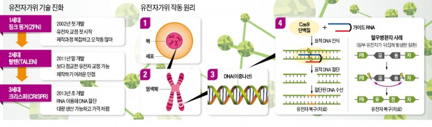 질병 DNA 잘라내는 유전자가위…인류, 유전자 프로그래머되다