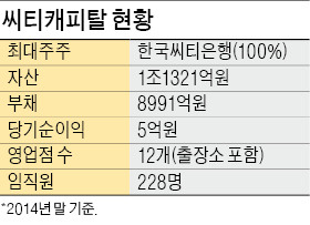 아프로그룹, 씨티캐피탈 인수한다