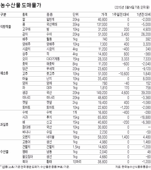 잦은 비에…봄배추값 144% 올라