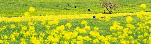 [Book & Movie] "공산주의는 무너졌지만 사회주의는 살아있다"