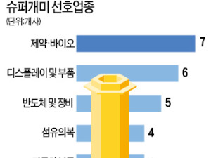 슈퍼개미, 제약·디스플레이·반도체주에 꽂혔다