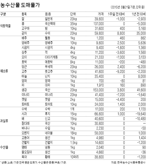 [농수산물 시세] 매실 올 수확량 5~10% 줄어들 듯