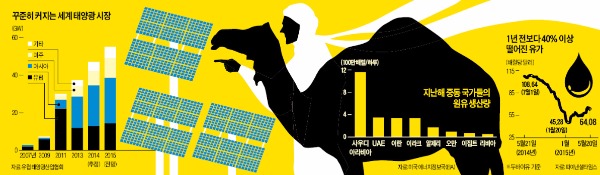 최대 산유국 사우디 "태양광·풍력에 투자…수년 내 전기 수출"