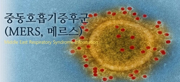 메르스 격리자 682명으로 급증 / 메르스 격리자 682명으로 급증 사진=보건복지부 홈페이지