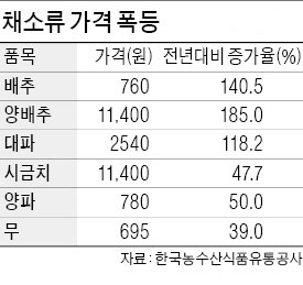 가뭄에 채소값 급등