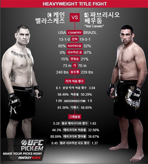 UFC / UFC 사진=UFC 제공