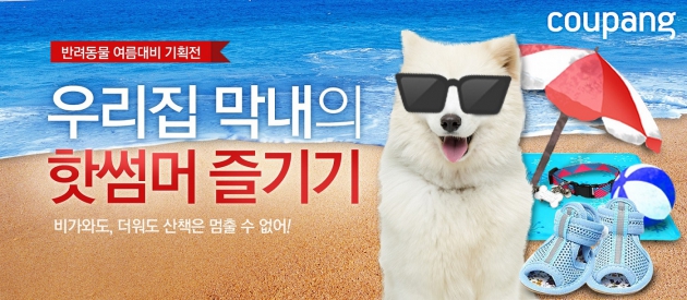 쿠팡, 반려동물 여름 기획전 진행 '강아지용 아이스크림·텐트 봤어?'