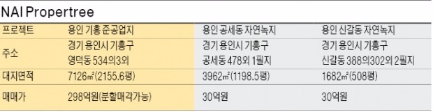 [시티스케이프 코리아] 대기업 부동산 거래 자문 정평…용인 노른자위 땅 대거 선보여