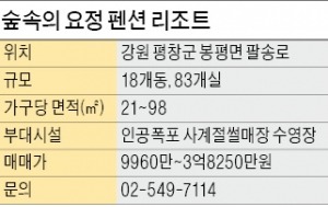 [시티스케이프 코리아] "두 달만 운용해도 연 4~5% 수익"…강원도 평창 '숲속의 요정' 펜션