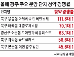 광주 '원정투자 과열'…청약 자격 바꾼다