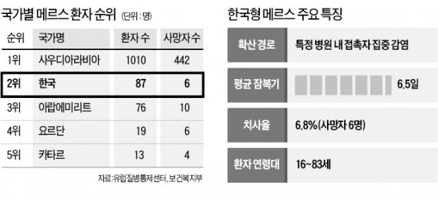 [메르스 사태] 단숨에 세계 2위 메르스 발병국…정부 "3차 유행 가능성은 낮아"