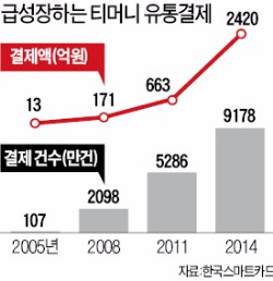 버스 밖 티머니, 핀테크 강자로