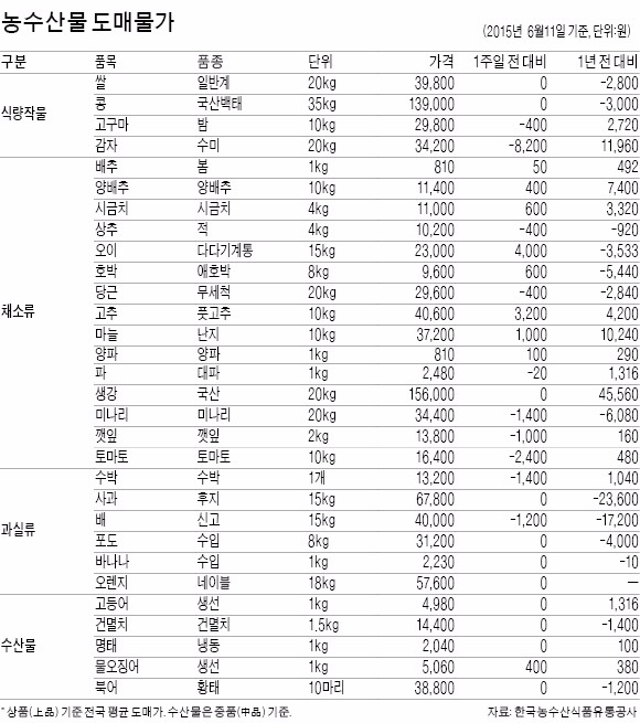 오징어값, 작년보다 20% 올라