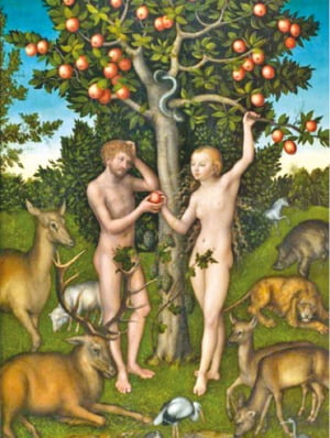 ‘Adam’s apple’은 무슨 뜻일까요? 전설에 따르면 아담이 선악과(apple)를 먹다가 목에 걸렸다고 하네요. 우리가 흔히 ‘목젖’이라고 부르는, 남자의 목에 튀어 나온 부분인 ‘결후’ 혹은 ‘후골’을 부르는 말이 되었다고 합니다.
