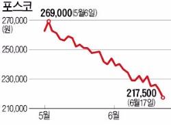 기관 27일째 매도…포스코, 1년 최저가 추락