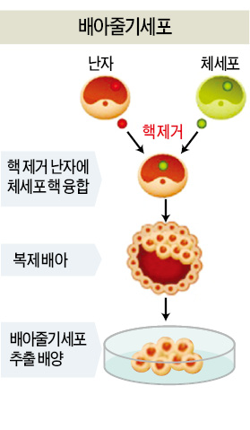 [한경 단독 인터뷰] 황우석 "줄기세포 실체 인정받아…불치병 연구에 온몸 던질 것"